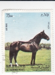 Stamps United Arab Emirates -  SHARJAH- Caballo de Raza