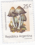 Stamps Argentina -  Coprinus atramentarius