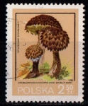 Stamps Poland -  2512 - Champiñón strobilomyces floccopus
