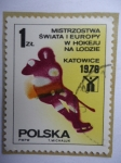 Stamps Poland -  Mundial de Hockey sobre Hielo 1976 en Katowice-Polonia.