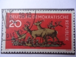 Stamps Germany -  DDR.
