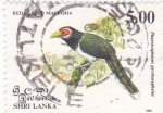 Stamps Sri Lanka -  Red faced Malkoha