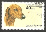 Stamps Morocco -  Perro de raza