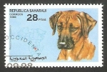 Stamps Morocco -  Perro de raza