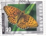 Stamps Switzerland -  Mariposa- mescacidalia aglaja