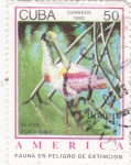 Stamps Cuba -  UPAEP- Fauna en peligro de extinción