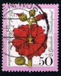 Stamps : Europe : Germany :  Flores
