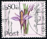 Stamps : Europe : Germany :  Orquidea