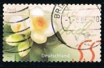 Stamps : Europe : Germany :  Flores