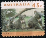 Stamps : Oceania : Australia :  Koala