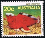 Stamps : Oceania : Australia :  Pez