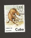 Stamps Cuba -  Equinos