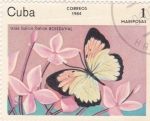 Stamps Cuba -  Mariposas