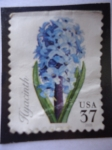 Stamps United States -  Hyacinth