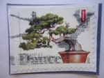 Stamps United States -  Bonsai - Sierra Juniper - (Tasa para siempre)
