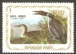 Stamps Haiti -  Fauna, gavia immer