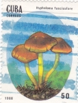 Stamps Cuba -  SETAS