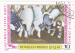 Stamps Mongolia -  REBAÑO