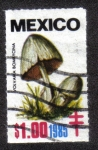Stamps Mexico -  Hongos