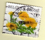 Stamps Belgium -  Flor