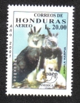 Stamps Honduras -  Upaep 2001