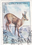 Stamps Spain -  Rebeco (15)