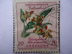 Stamps Colombia -  Odontoglossum luteo purpureum
