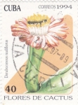 Stamps Cuba -  Flores de cactus