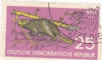 Stamps Germany -  Castor