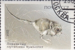 Stamps : Europe : Russia :  protecion animal
