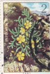 Stamps Spain -  Flora