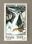 Stamps Poland -  Peces y pájaros