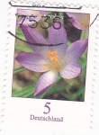 Stamps Germany -  For