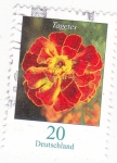 Stamps Germany -  Flor