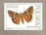 Stamps Poland -  Mariposas