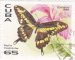 Stamps Cuba -  mariposa
