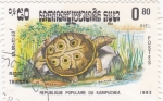 Stamps Cambodia -  tortuga