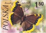 Stamps Poland -  mariposa