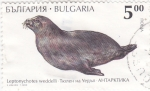 Stamps Bulgaria -  morsa