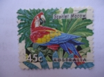 Stamps Australia -  Scarlet Macaw - Guacamayo -(S/1390)
