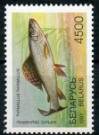Stamps Belarus -  varios