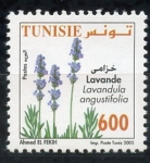 Stamps Tunisia -  varios