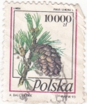 Stamps Poland -  piña