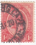 Stamps South Africa -  rey George V
