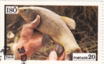 Stamps Sweden -  pesca en Isö