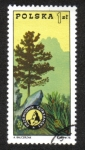 Stamps Poland -  Pino, insignia y montañas de Tatra