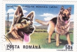 Stamps Romania -  Brno-90 exposición mundial canina