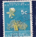 Stamps South Africa -  baobab