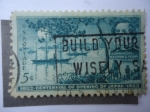 Stamps United States -  Centenario de la Apertura de Japón 1853-1953