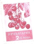 Stamps : Europe : Bulgaria :  figura